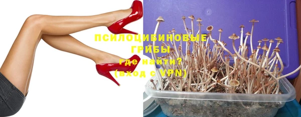 mdma Богородск