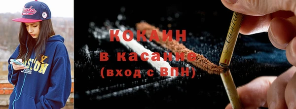дживик Богородицк